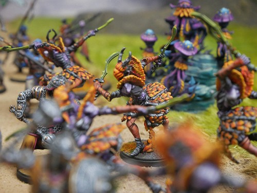 Conquest weaver courts - conquest,